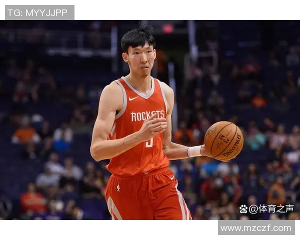 篮球场上的传奇巨星与他们的奋斗故事